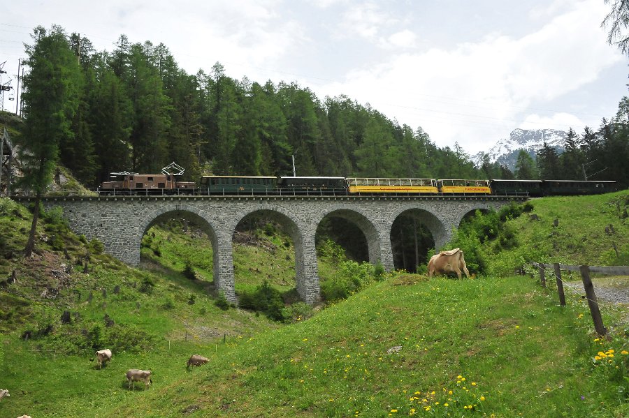2019.06.11 RhB Ge 6-6 I 414 Albulabahn Krokodil Bahnfest Bergün (29)
